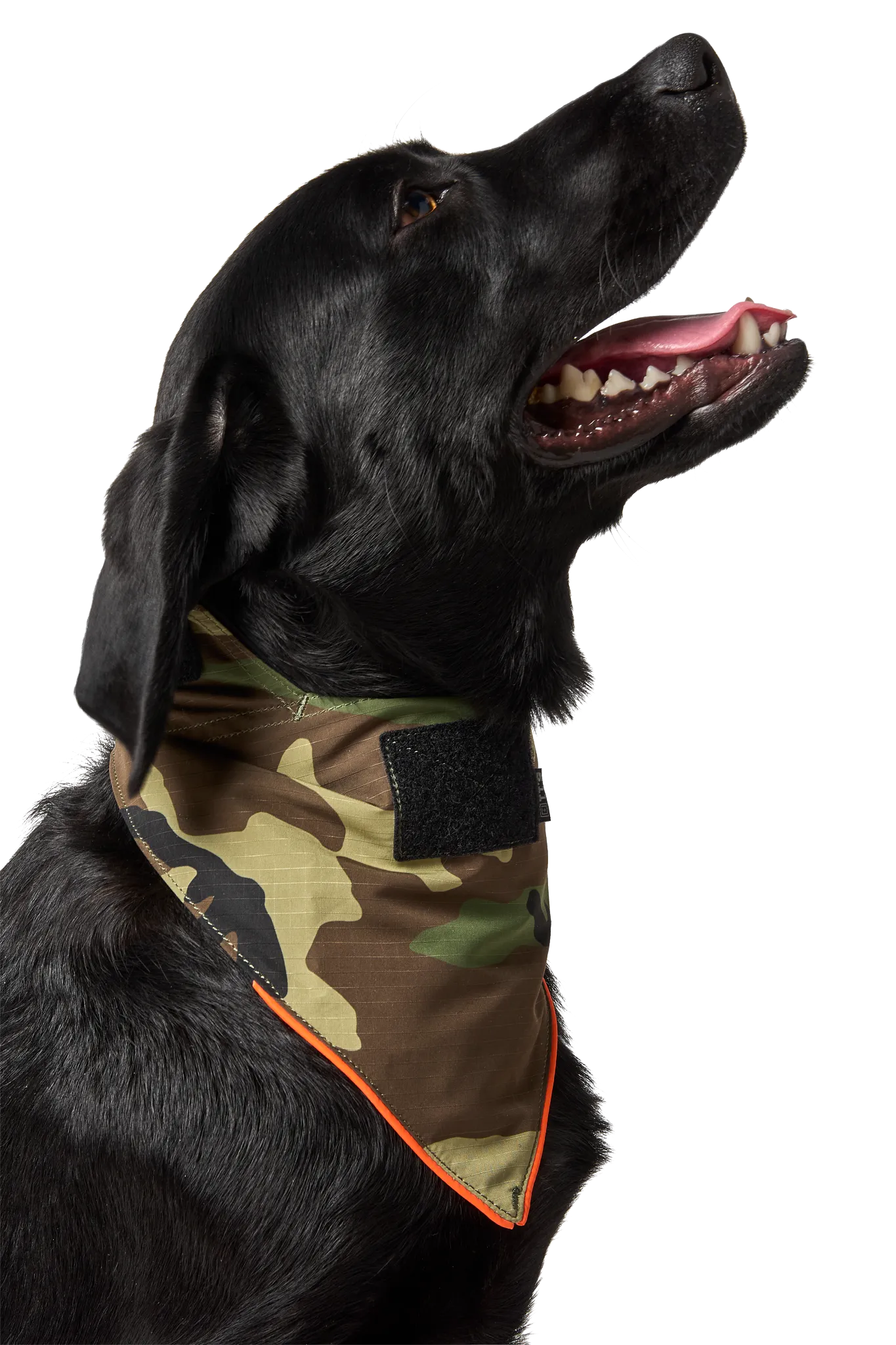 Mission Ready™ Dog Bandana